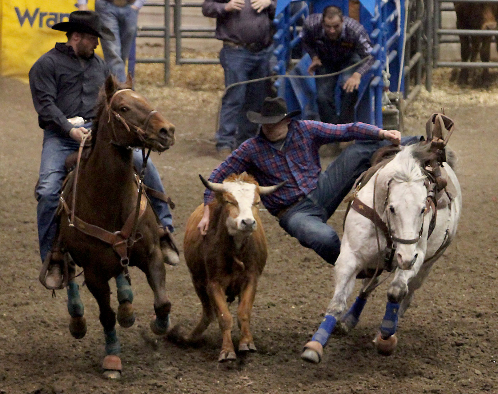 Rodeo 1A.jpg